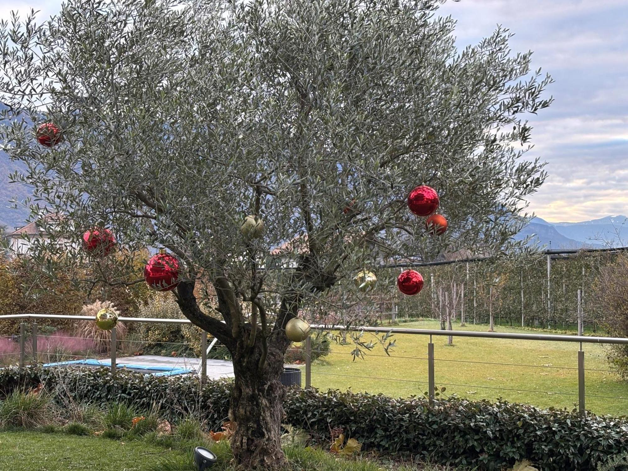 לאנה Haus Wiesenstein מראה חיצוני תמונה